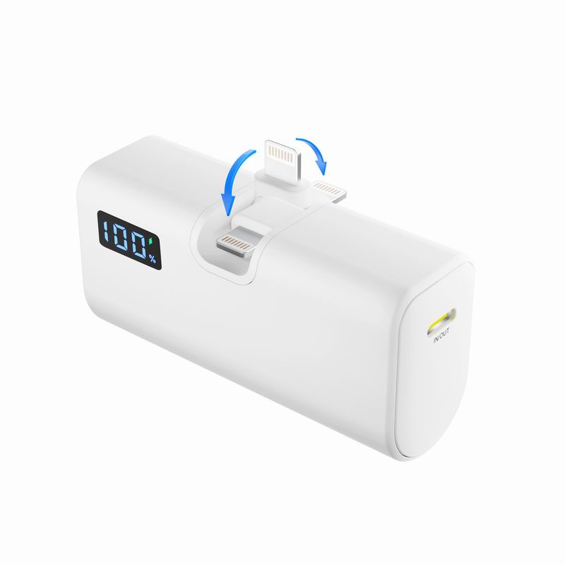 Custom PD20W 5000mAh power bank with OLED and 1C1L